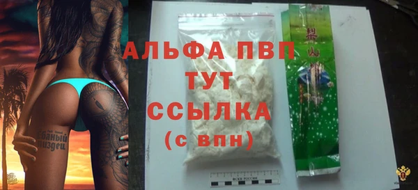 PSILOCYBIN Нефтегорск