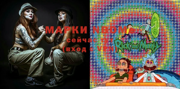 гидра Новодвинск